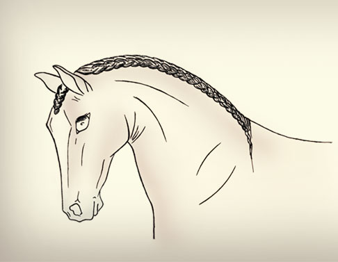 Andalusion Drawing
