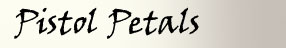 Pistol Petals bullet jewelry
