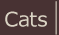 Cat Jewelry