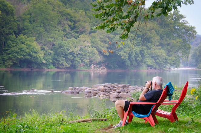 bird watching at New River's Edge Inc.