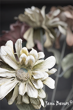 Fraying Sentiment Old Flower, Fine Art Print