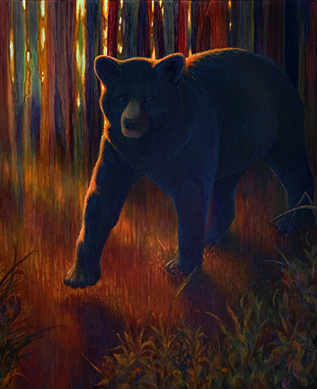 Black Bear with bright gold eyes over a checkered map by Robyn Ryan