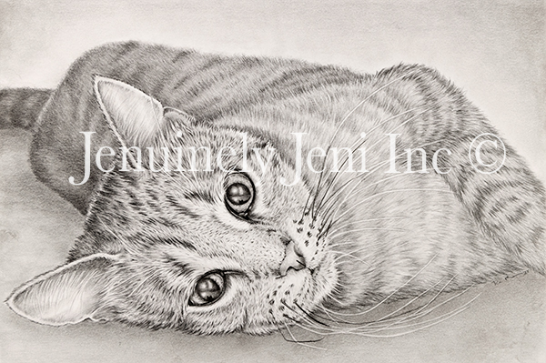 Graphite drawing of a tabby cat laying on her side by Jeni Benos