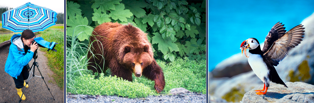 photographing-wildlife